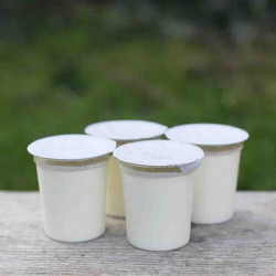 YAOURT NATURE 125G (PAR 4) LE P’TIT GALLO