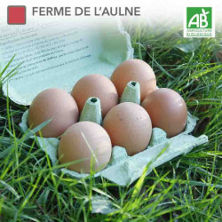 En direct de FERME DE L'AULNE à Langouet